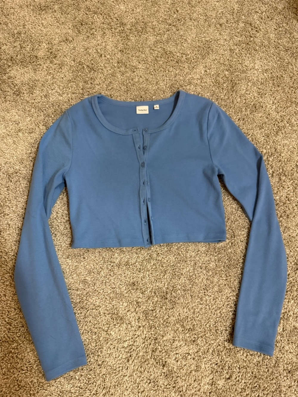 Aritzia Sunday Best Blue Cropped Button-Front Women's Top